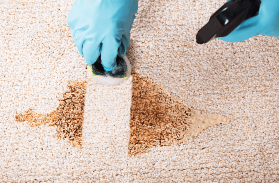 DEEP CLEANING